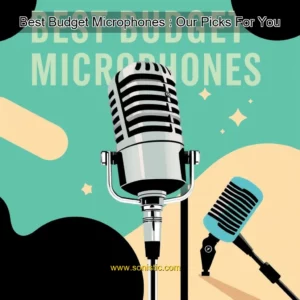 Read more about the article Best Budget Microphones : Our Picks For You