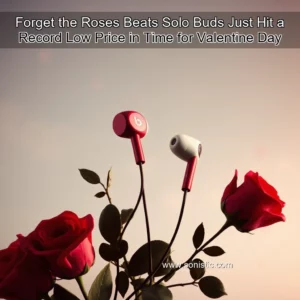 Read more about the article Forget the Roses  Beats Solo Buds Just Hit a Record  Low Price in Time for Valentine Day