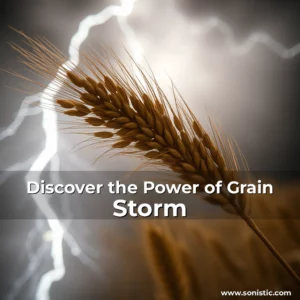 Read more about the article Discover the Power of Grain Storm